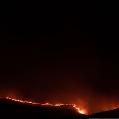 Radiografía de los incendios de 2026 en España: 120 mil hectáreas quemadas hasta la fecha