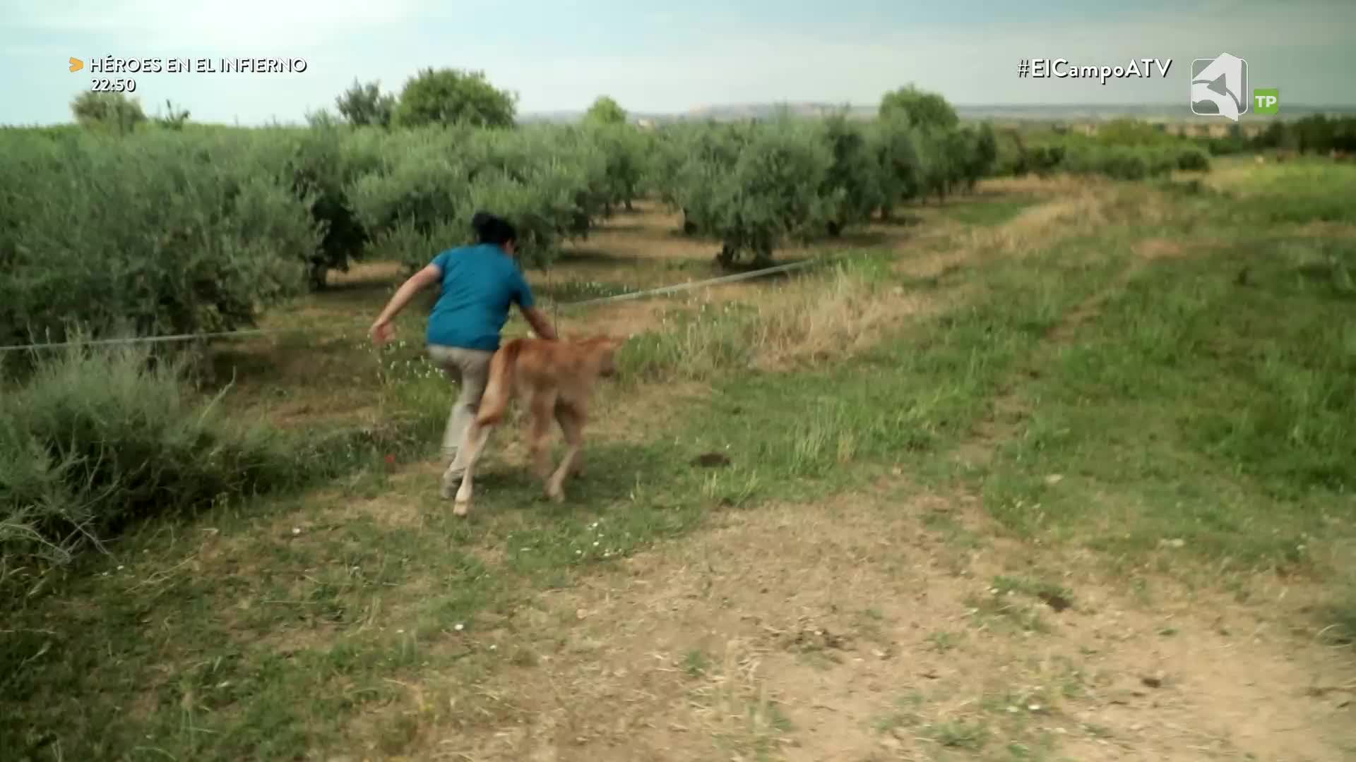 EL CAMPO ES NUESTRO - 27/07/2026 - 15:10