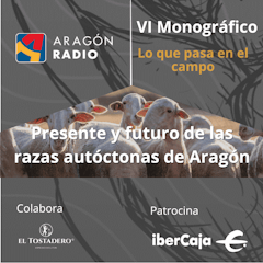 LO QUE PASA EN EL CAMPO - El presente y futuro de las razas autóctonas de Aragón