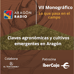 LO QUE PASA EN EL CAMPO - Claves Agronómicas y Cultivos Emergentes en Aragón