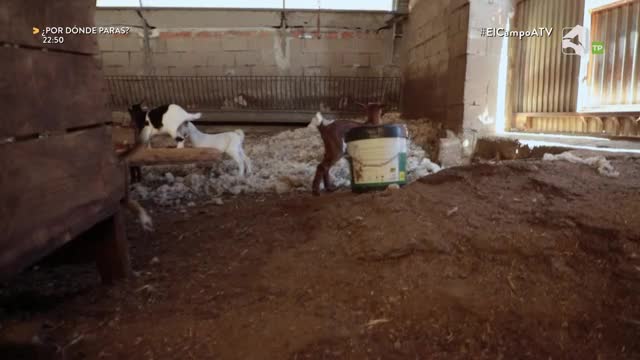 EL CAMPO ES NUESTRO - 30/07/2026 - 15:10