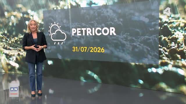 ARAGÓN NOTICIAS 1 - 31/07/2026 - 14:00