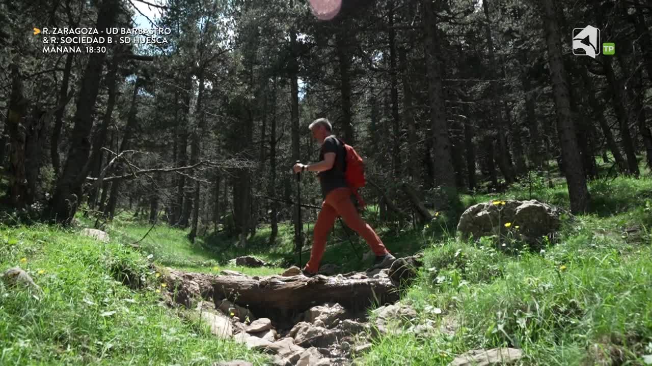 Prat de Cadí (Búnkeres línea P, LLeida)
