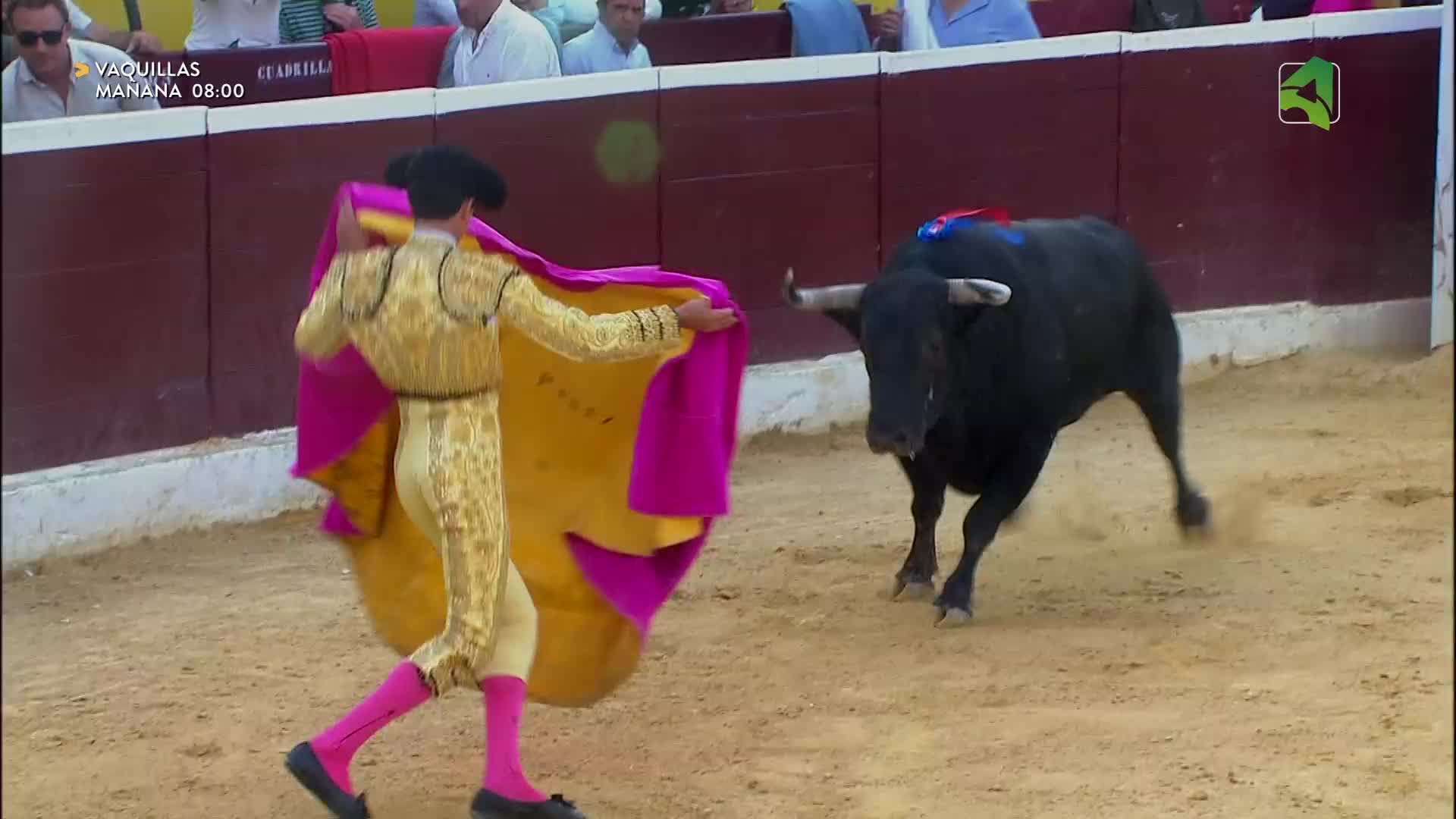 TOROS DE LA FERIA TAURINA DE LA ALBAHACA San Lorenzo 2026 10/08/2026