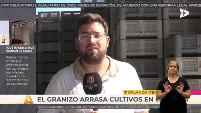 AQUÍ Y AHORA ACCESIBLE - 04/08/2026