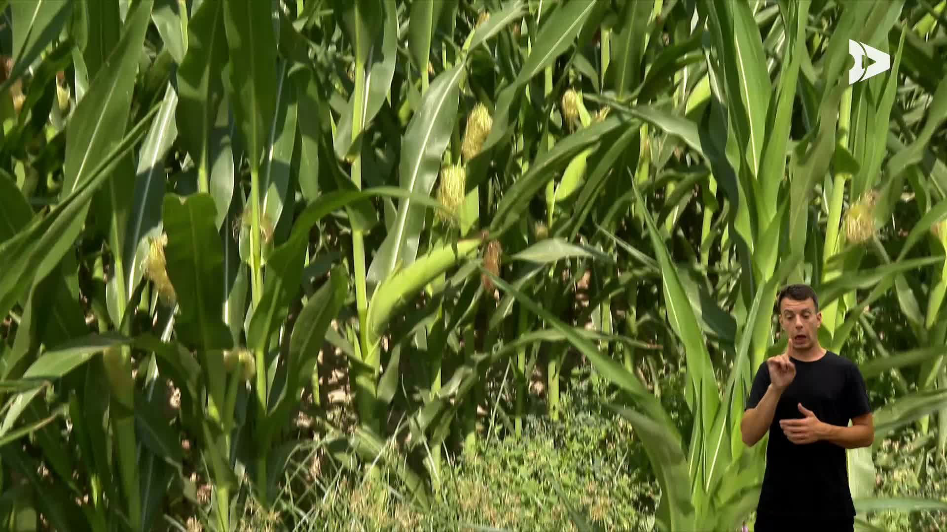 ARAGÓN NOTICIAS 2 ACCESIBLE - 07/08/2026