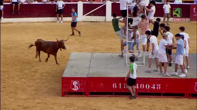 VAQUILLAS 13/08/2026 Feria Taurina de la Albahaca 2026