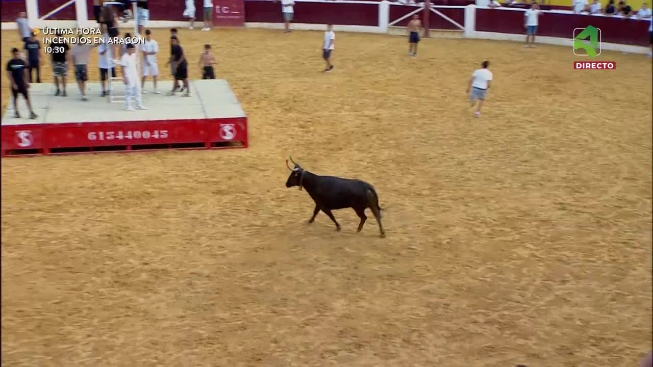 VAQUILLAS 15/08/2026 Feria Taurina de la Albahaca 2026