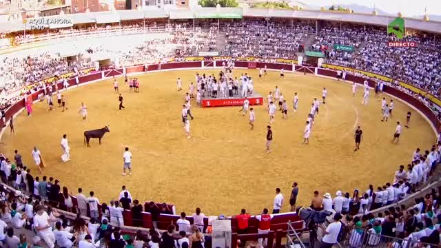 VAQUILLAS 11/08/2026 - Feria Taurina de la Albahaca 2026