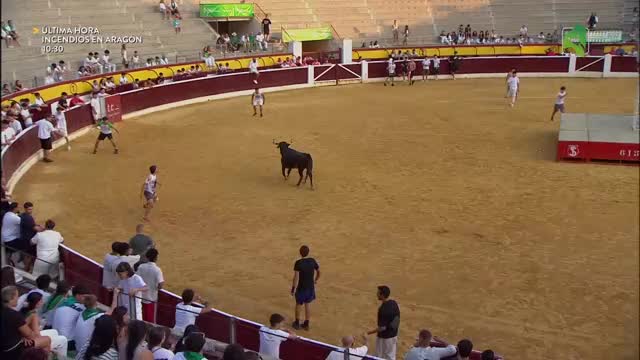 LO MEJOR DE LAS VAQUILLAS -  San Lorenzo 2026