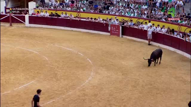 VAQUILLAS 14/08/2026 Vaquillas Feria Taurina de la Albahaca 2026