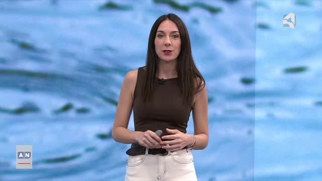 EL TIEMPO 1 - 23/08/2026 - 14:45