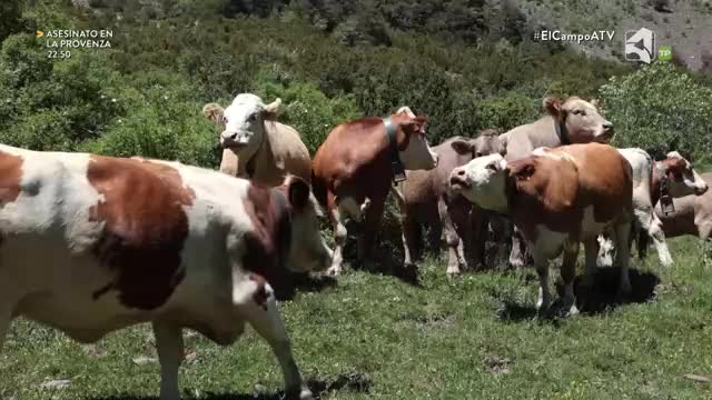EL CAMPO ES NUESTRO - 01/09/2026 - 15:10