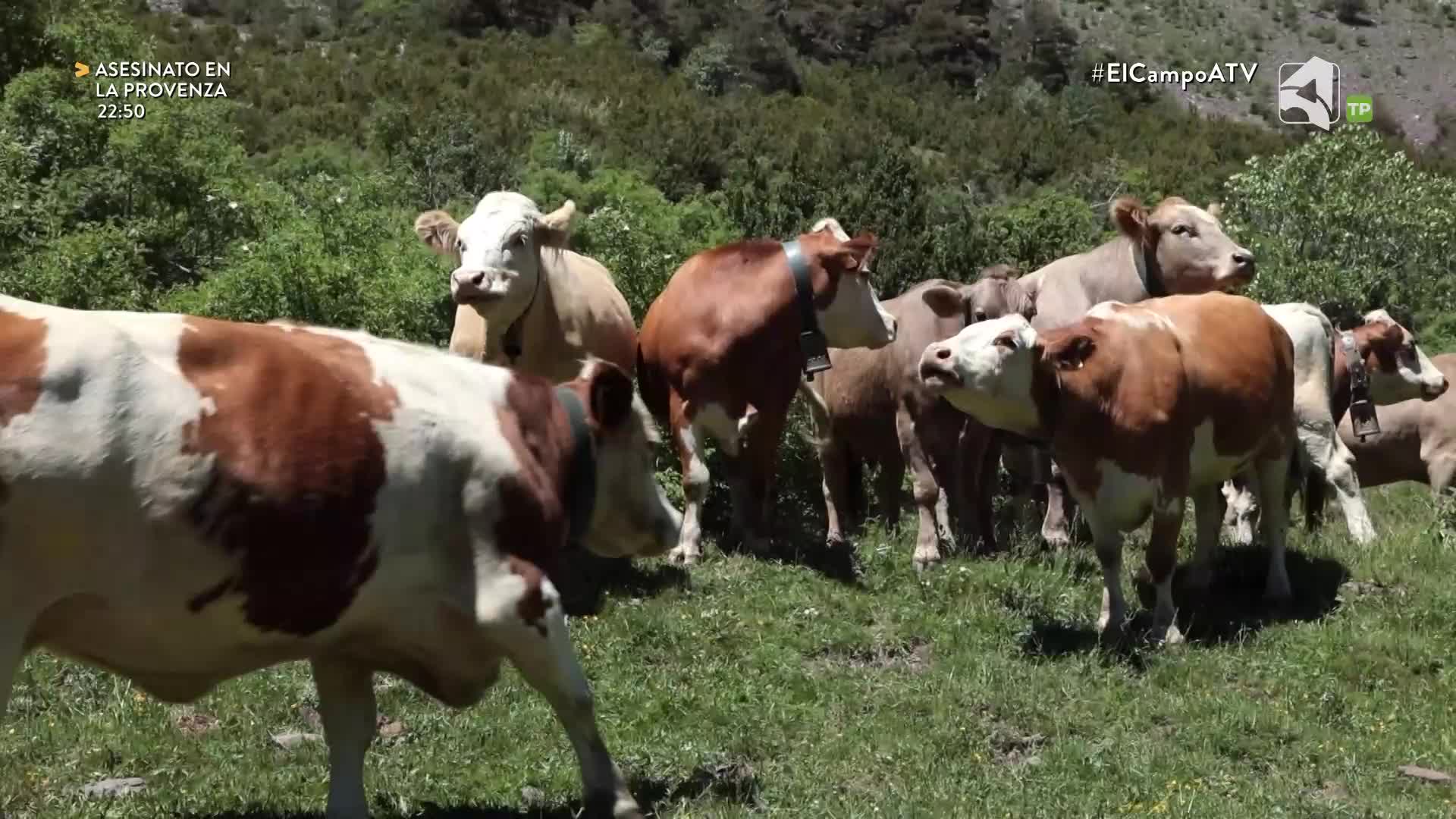 EL CAMPO ES NUESTRO - 01/09/2026 - 15:10