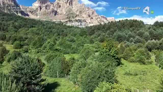 EL CAMPO ES NUESTRO - 02/09/2026 - 15:10