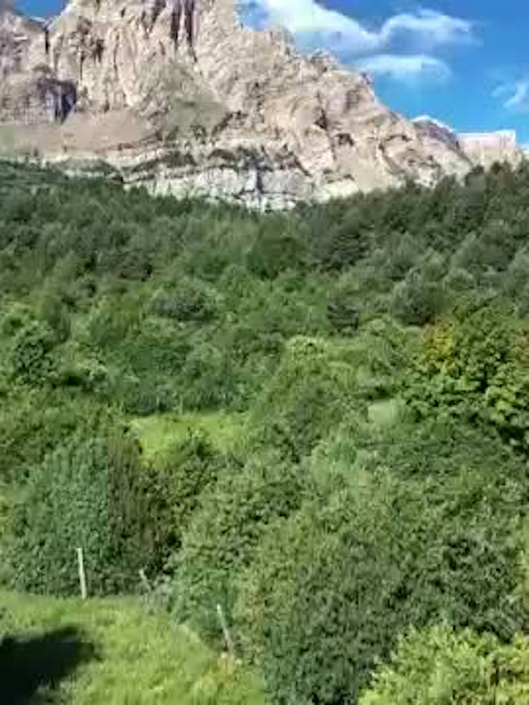 EL CAMPO ES NUESTRO - 02/09/2026 - 15:10