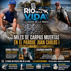 MILES DE CARPAS MUERTAS EN MADRID | Humberto Gacio, Gorka Viruez y Cesáreo Martín y su Museo de la Pesca y Caza
