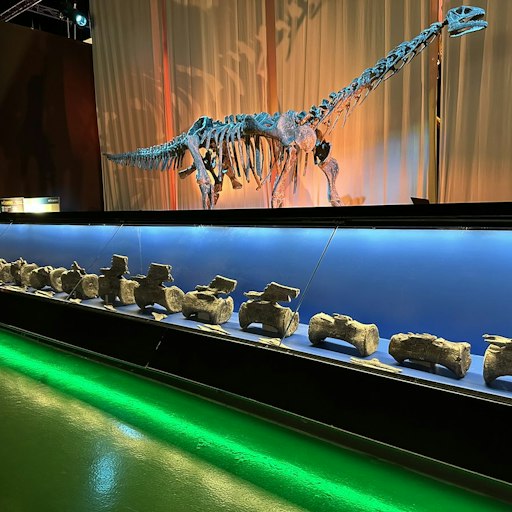 Descrito en Teruel el primer Diplodocus hallado fuera de Norteamérica