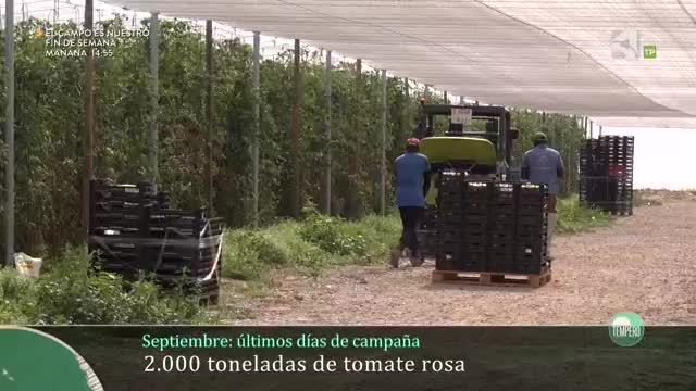 TEMPERO - Capítulo 3