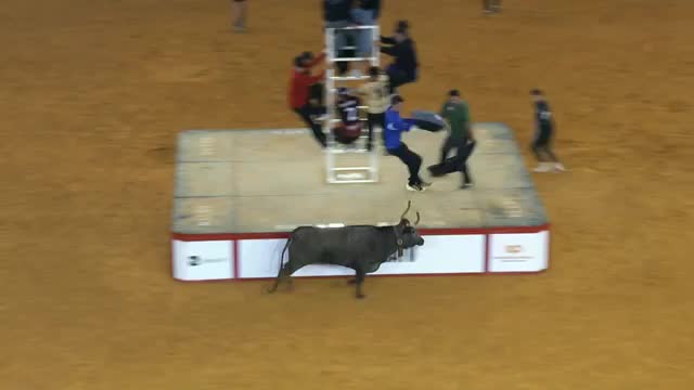 VAQUILLAS - Fiestas del Pilar 2025 - 07/10/2025