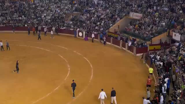 VAQUILLAS - Fiestas del Pilar - 10/10/2025