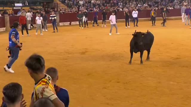 VAQUILLAS - Fiestas del Pilar 2025 - 12/10/2025