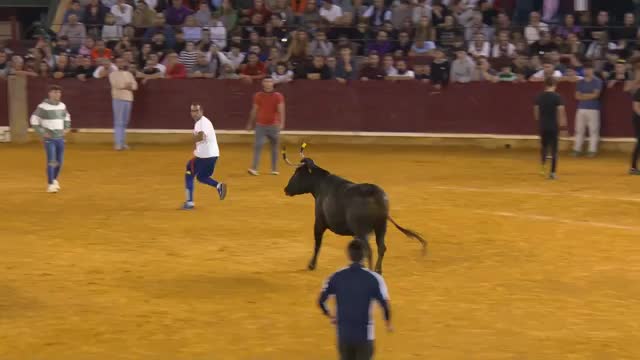VAQUILLAS - Fiestas del Pilar - 13/10/2025