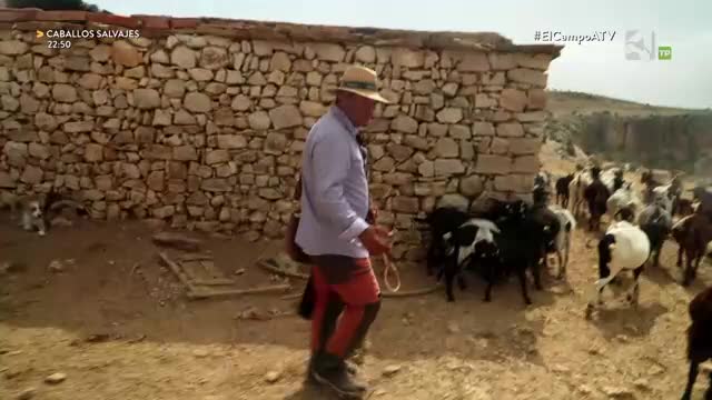EL CAMPO ES NUESTRO - 23/09/2026 - 15:10