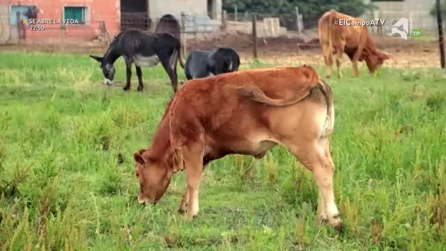 EL CAMPO ES NUESTRO - 24/09/2026 - 15:10