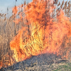Satélites al servicio de la Tierra: así ayudan a detectar y controlar incendios