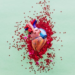 Celebramos el Día Mundial del Corazón