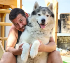 Vuelve a nuestro estudio Hero, el husky siberiano más querido en redes