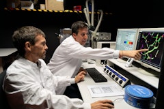Científicos liderados por el aragonés Manuel Valiente descubren una vulnerabilidad temprana en la metástasis cerebral y una posible diana terapéutica