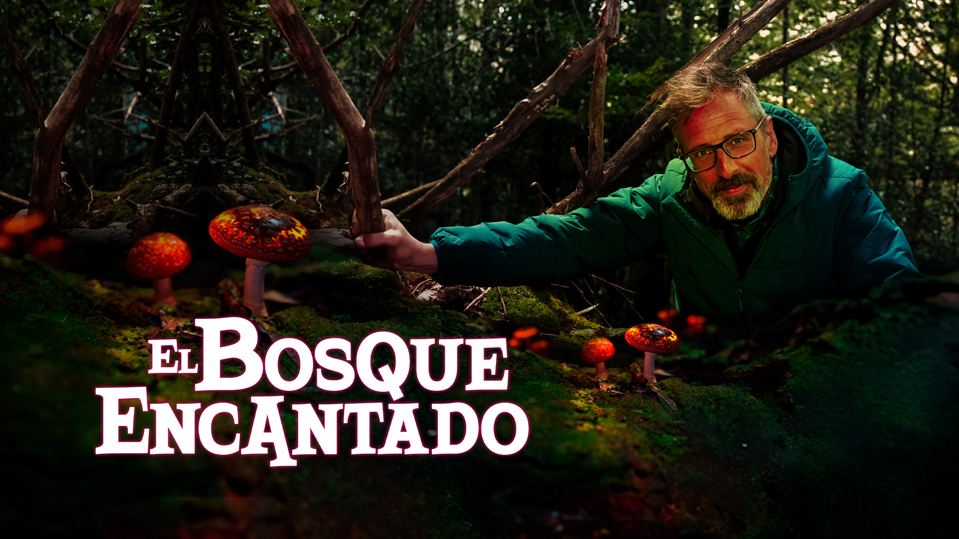 EL BOSQUE ENCANTADO