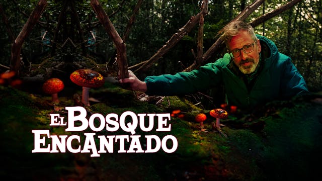 EL BOSQUE ENCANTADO