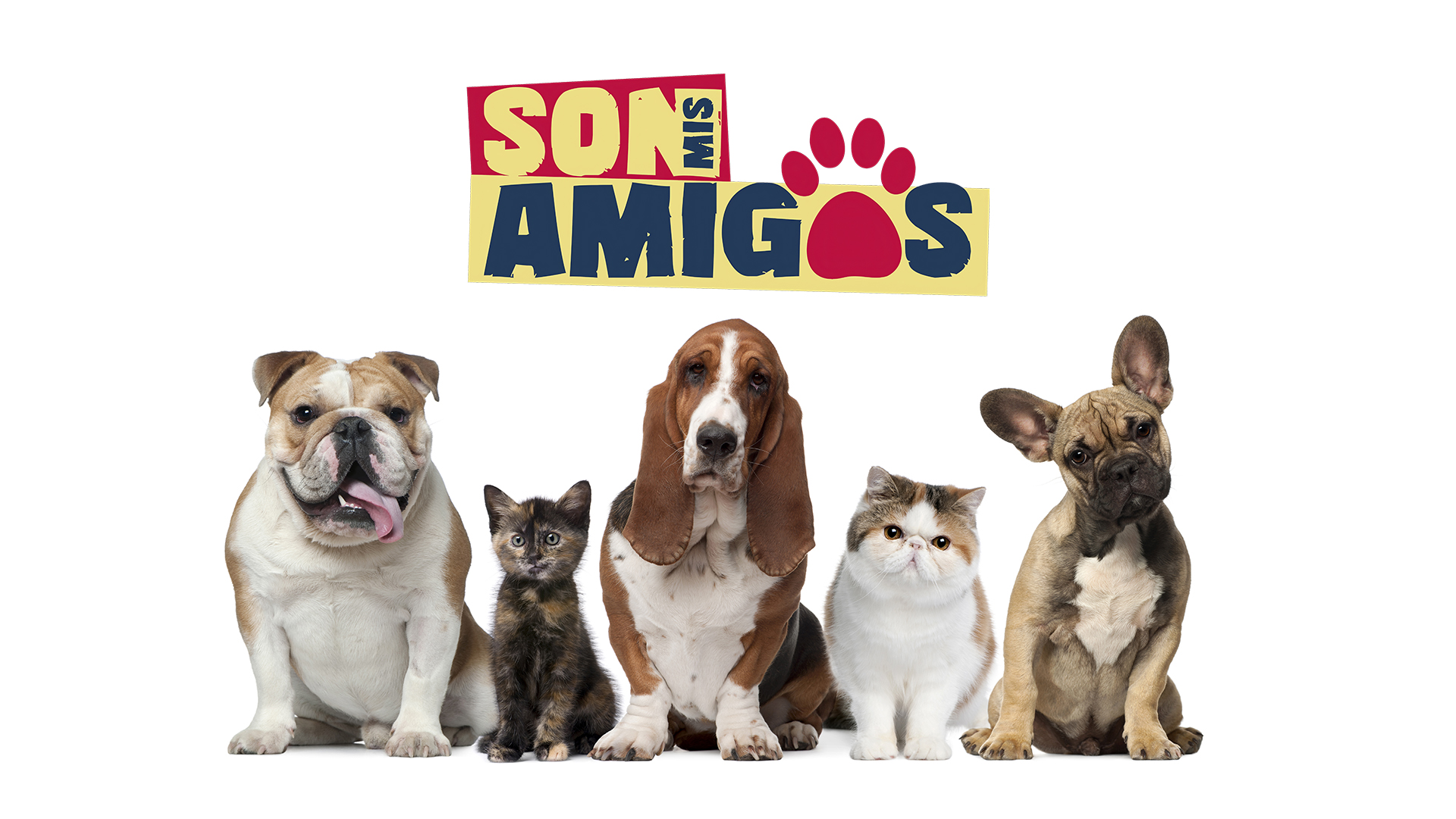 SON MIS AMIGOS