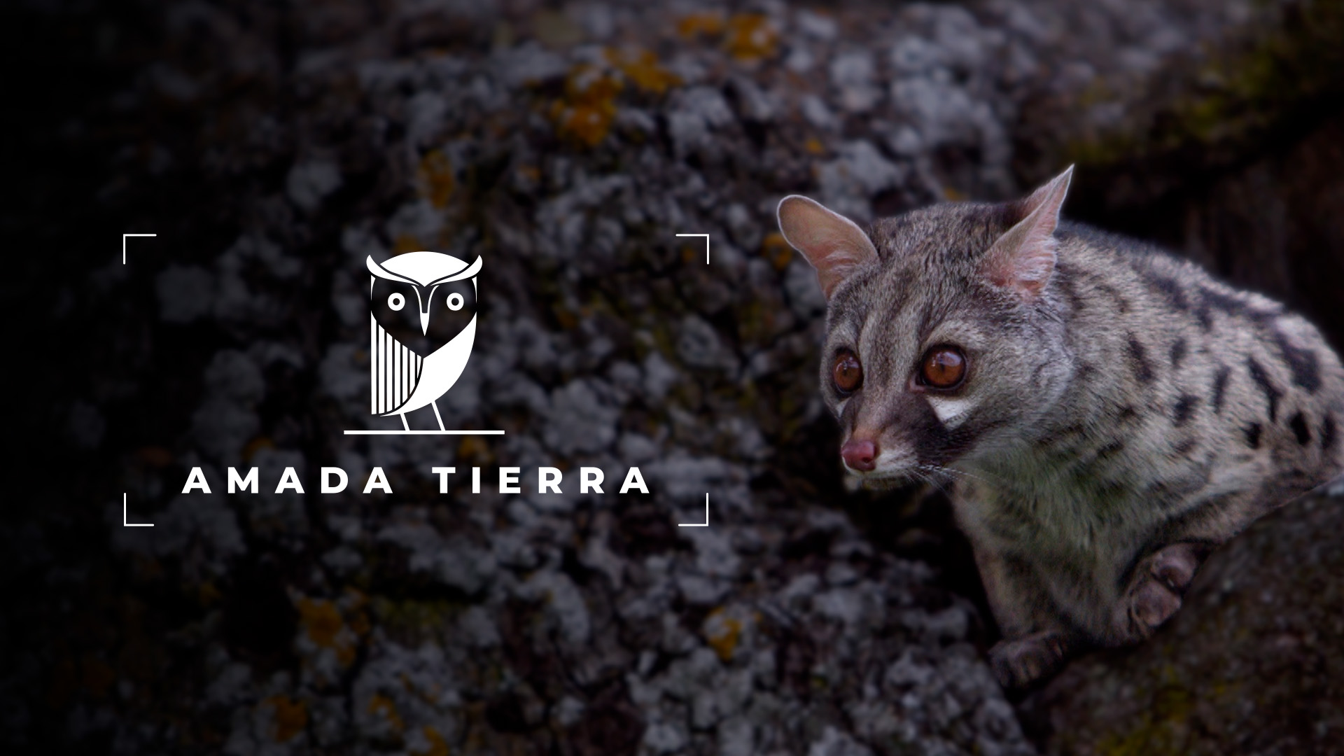 AMADA TIERRA