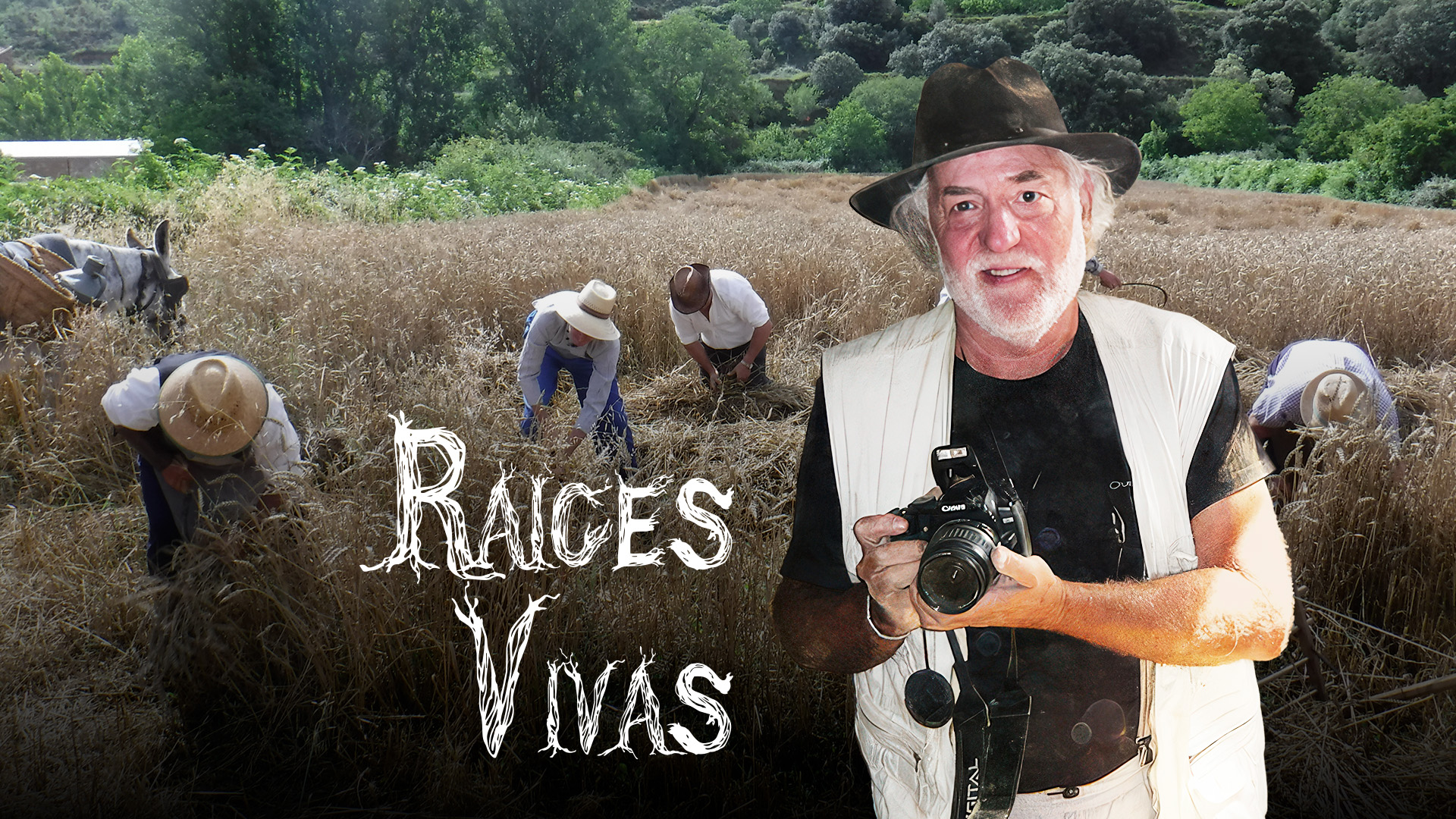 RAÍCES VIVAS