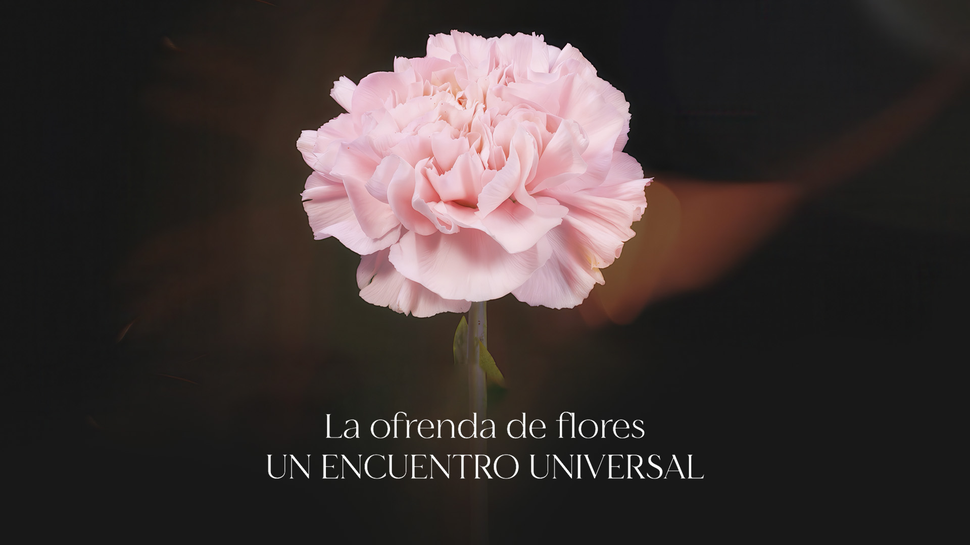 LA OFRENDA DE FLORES, UN ENCUENTRO UNIVERSAL