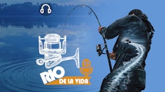 ESPECIAL CASTILLA Y LEÓN ,con A.M.A. El Pisuerga, Foto y al Agua y PecaPalentina . Conservación, ríos y pesca