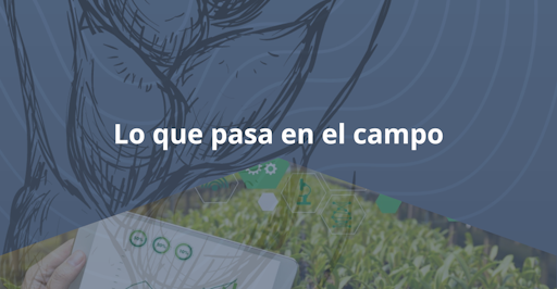 LO QUE PASA EN EL CAMPO