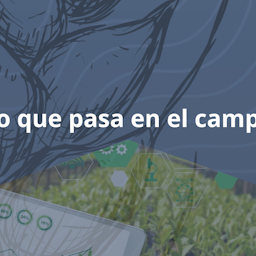 LO QUE PASA EN EL CAMPO