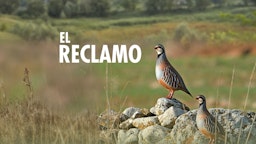 EL RECLAMO