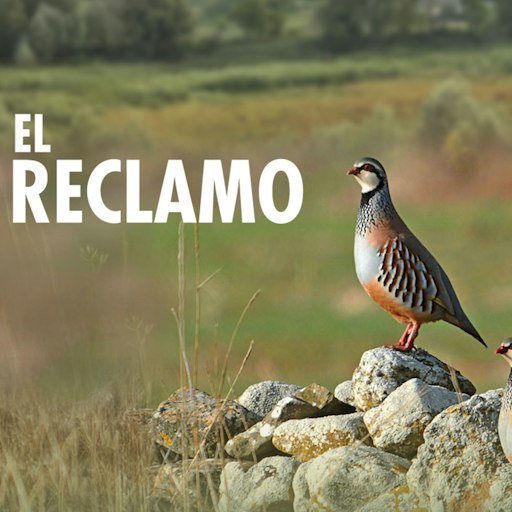 EL RECLAMO